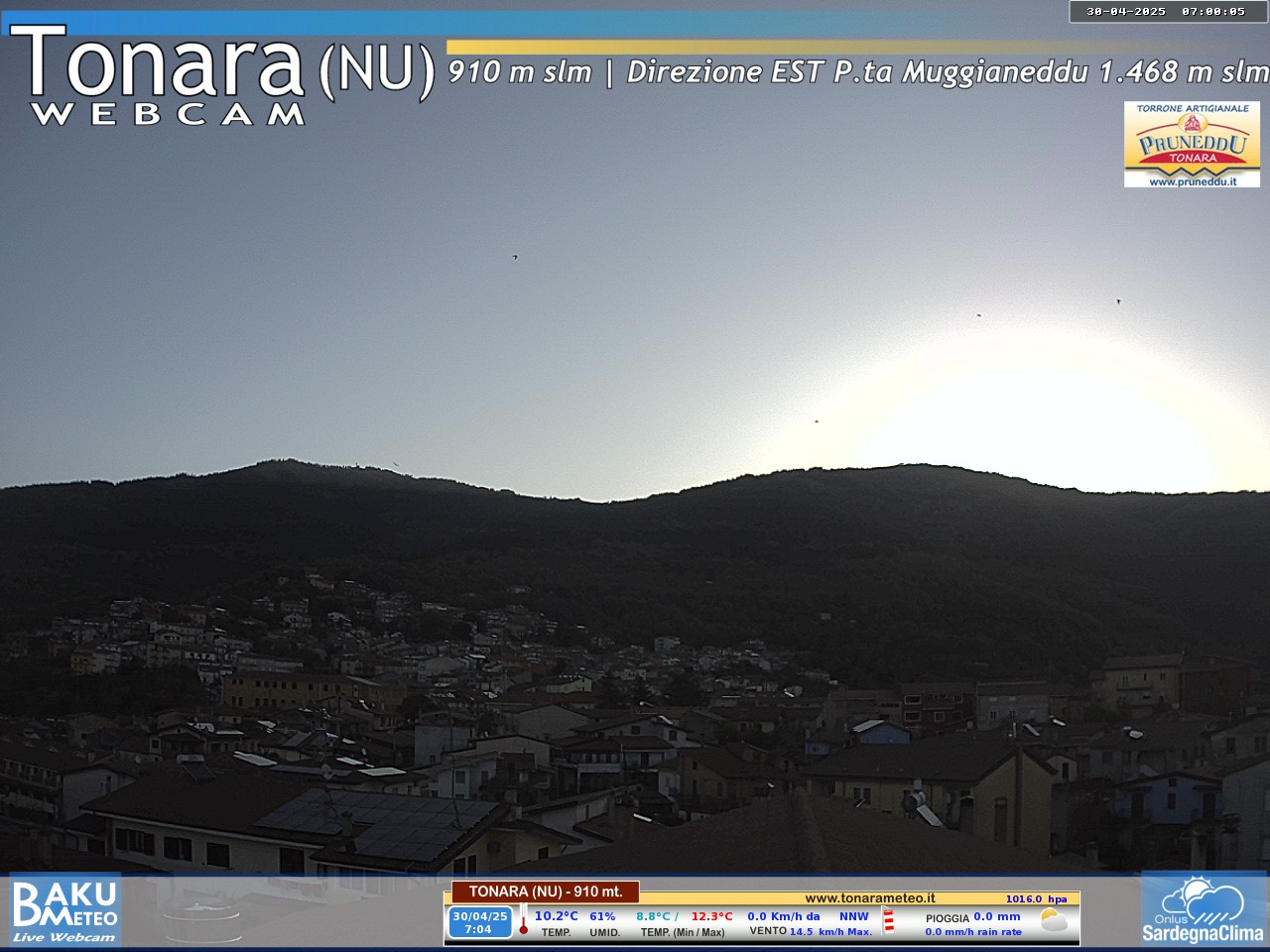 Webcam Bruncu Spina