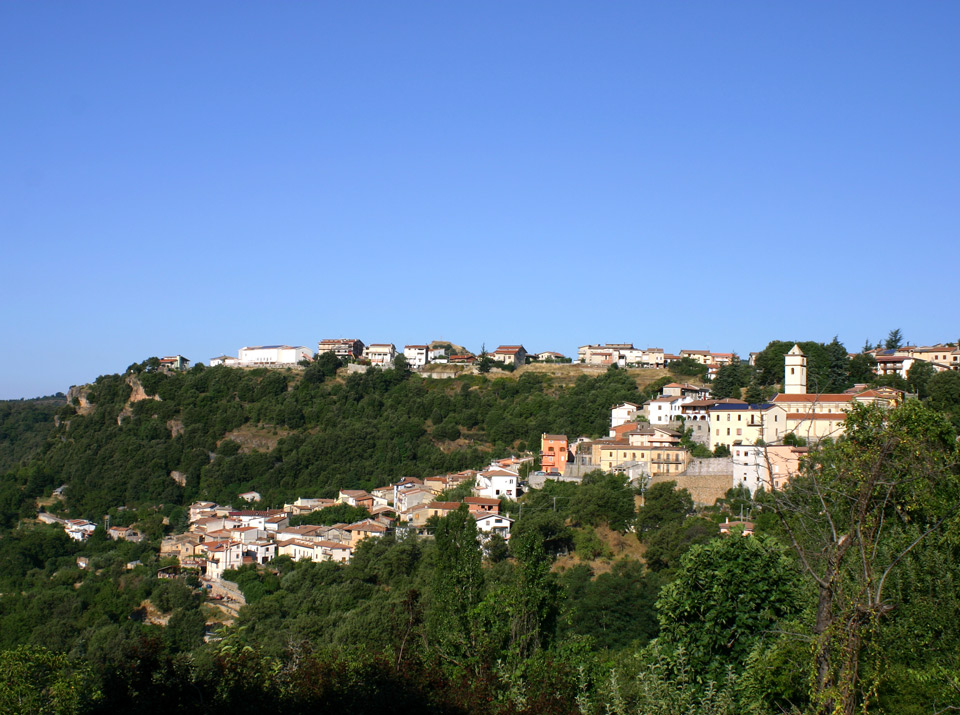 Webcam Tonara Nu - 960 mt s.l.m.